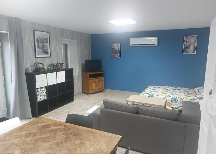 Petite Maison Lirenolles Apartment